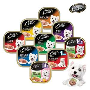 시저 강아지캔 100G 12종류 모음전(12캔)/습식사료/무료배송