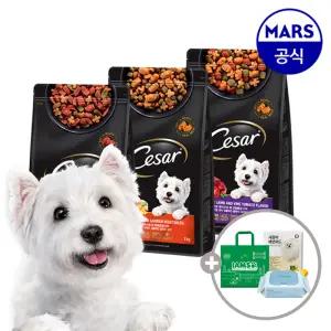 시저 건사료 1kgx2개 골라담기+아이엠즈쇼핑백+배변패드+베베숲물티슈1팩