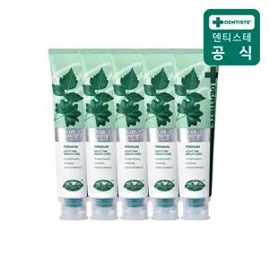 [덴티스테]덴티스테 신제품 플러스화이트 프로 160g 5개