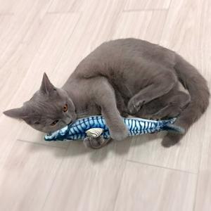 펫케어 움직이는 캣닢 자동장난감 춤추는생선 고등어