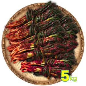 해드림 프리미엄 쪽파김치 5kg