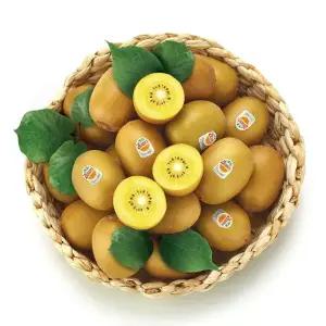 [농협6번]제주하트골드키위 5kg/제주도 제스프리 골드키위 5.7kg 옵션선택