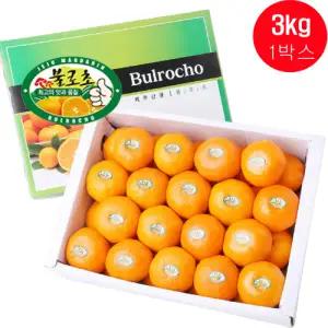 [롯데백화점]내당농산 [내당농산]제주 불로초 감귤 3kg 타이벡 밀감 제주도 귤