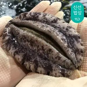 [품질보장]해신수산 완도활전복 특특大 6-7미 1kg