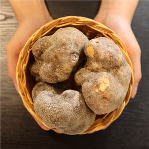 충남 당진 뮤신 듬뿍 햇 둥근마 특품 3kg