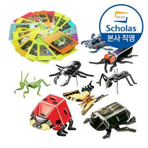 교과서에 나오는 한국의 곤충들 16종 만들기 세트 (곤충카드 포함)