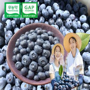 산지 발송 국산 친환경 무농약 급냉 블루베리 상사이즈 블루베리 베리류 선물용 국내산