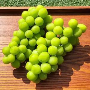 때깔찬 청포도 샤인머스켓 2kg (4~5수)