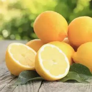 [거북농산]썬키스트/팬시레몬 10kg 중과 소과 선택가능