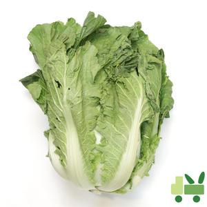 배추 (2등) 3포기 (8kg)