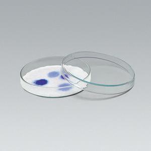[더원사이언스] 페트리 접시 (유리)(90mm) KSIC-4137/4137/화학. 유리제품/과학교구