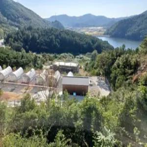 [전남 펜션] 광양 호수도도글램핑 (광양)