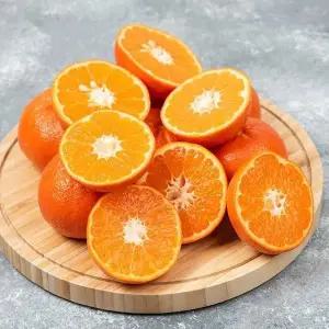 [산해직송]제주 천혜향 5kg / 중대과