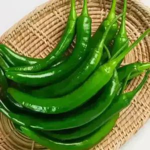 청양고추 특품 1KG 국산 청량고추 매운 땡초 최상급