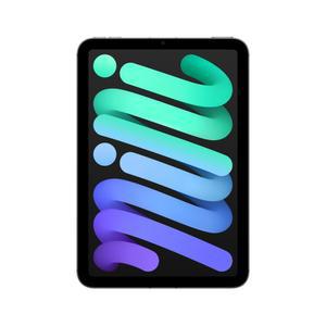 아이패드 미니 7세대 셀룰러 256GB 스페이스 그레이 MXPT3KH/A