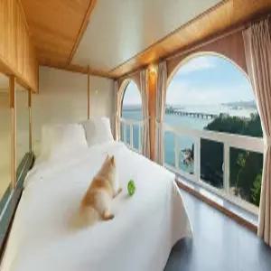 [강원/삼척] 삼척 피스하우징 스파 애견 동반 펜션 (해수욕장/포레스트뷰(산)/엘리베이터/오션뷰/스파/애견/바베큐장/일출/일몰/커플/가족/복층/주차장/개별바베큐/흡연구역(지정장소))