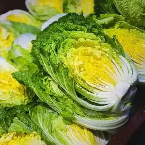 김장용 포기배추 3포기(1망) 국내산 통배추 김장배추