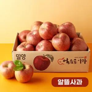 산지직송 농협 밀양얼음골 알뜰사과 3kg(랜덤과) x 2박스
