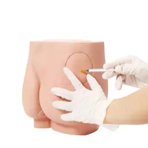 엉덩이 모형 인체교육 주사 훈련용 마네킹 간호사 수업 연습 모델