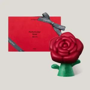 동구밭 퍼퓸바 장미 / 친구 생일 집들이 선물 세트