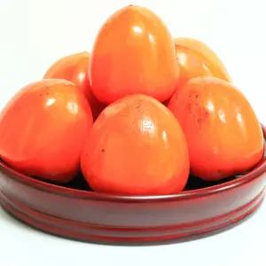 전남 영암 장성 대봉감 정품 홍시 대봉시 곶감용 생감 중과 5kg 10kg