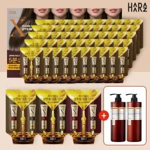 [1등특집] 하라즈 앰플염색제 50회분+맥주효모 샴푸 트리트먼트
