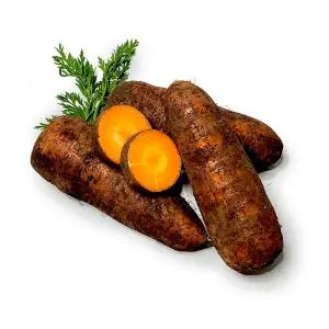 청정자연이 키운 제주 구좌 당근 못난이 흙당근 가정용 10kg 중(포장재포함)