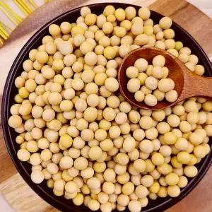 국산 백태 대두콩 3kg