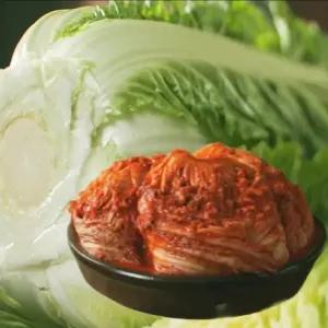 포기 김장 김치 10kg 홍여진 고향애 명품 배추김치 절임 김장 생김치