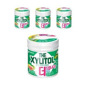 오리온 더자일리톨 용기, 102g, 4개