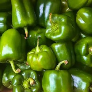 산지직 송연구소 청 파프리카 농가돕기 노마진 국산 못난이 실속 5kg