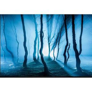 ELEBOX 물고기 배경 종이 양면 3D 돌과 나무 수족관 사진 12인치 x 32인치 어항