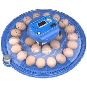가정용 병아리 부화기 자동 회전 육추기 달걀 메추리