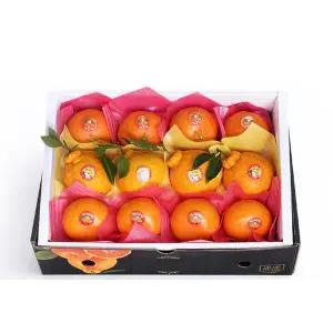 제주 제철과일 한라봉+천혜향+레드향 대과 혼합 선물세트 3kg