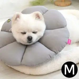 그레이 애완용 넥카라 M (WFJR5VO)