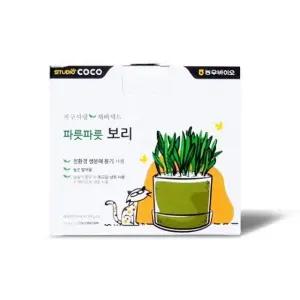 고품질 캣닢 브라운 파릇파릇 지구사랑 고양이 보리 재배세트 (WFJRO7D)