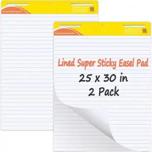 ReliThick 2 패드 스티키 이젤 25인치 x 30인치 흰색 30매/패드 교사용 앵커 차트 용지 라인 플립