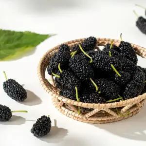 [박성관 명인] 해남 유기농 오디 100g*6팩