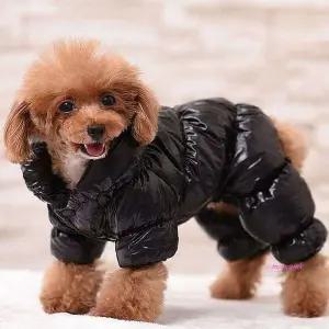강아지 외출용 XL 겨울옷 대형 패딩jkl342