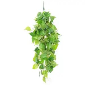 덩쿨 C 조화 풍성한 (WFKB3ZF)