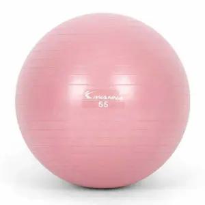 다이어트짐볼 와일드 마사지볼 핑크 55cm 짐볼