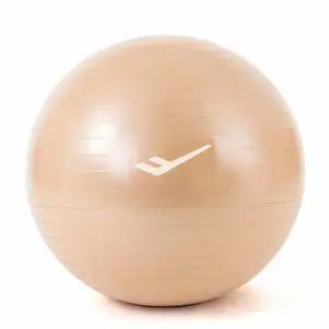 65cm 짐볼 안티버스트짐볼 마일드골드 마사지볼