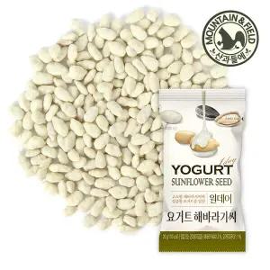 원데이요거트해바라기씨 x60봉 /견과류 간식 해씨볼