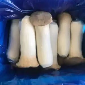 특)새송이버섯 2kg ,무농약인증제품 (특.박스새송이)