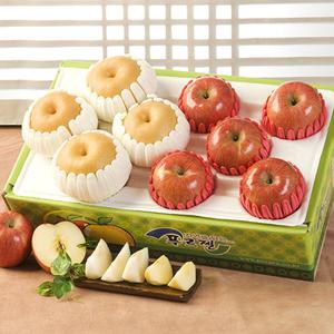 [1/19 순  차 출 고]사과,배 추석명절 과일 실속 선물세트