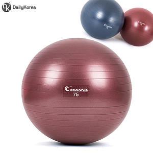 아이워너 안티버스트 파스텔 짐볼 75cm 루비와인 홈트 필라테스 요가 실내 운동 스트레칭 임산부 D