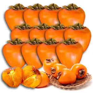 고당도 대봉감 대과 3kg 5kg 홍시 대봉시 단감 반시 연시 땡감 하동대봉감