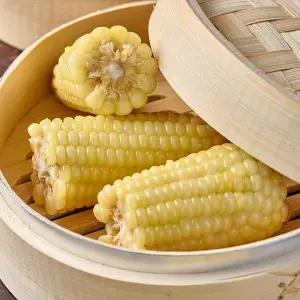 냉동 쫀득한 백찰 옥수수 특대 20입