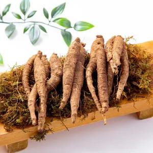 [미식한가] 제주산 향긋한 흙 더덕 4kg (실속)