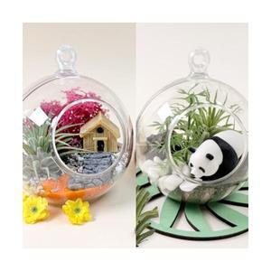 이오난사 테라리움 키트 파츠 재료 식물 키우기 활동 고학년 중학생 심리치료 원예 프로그램